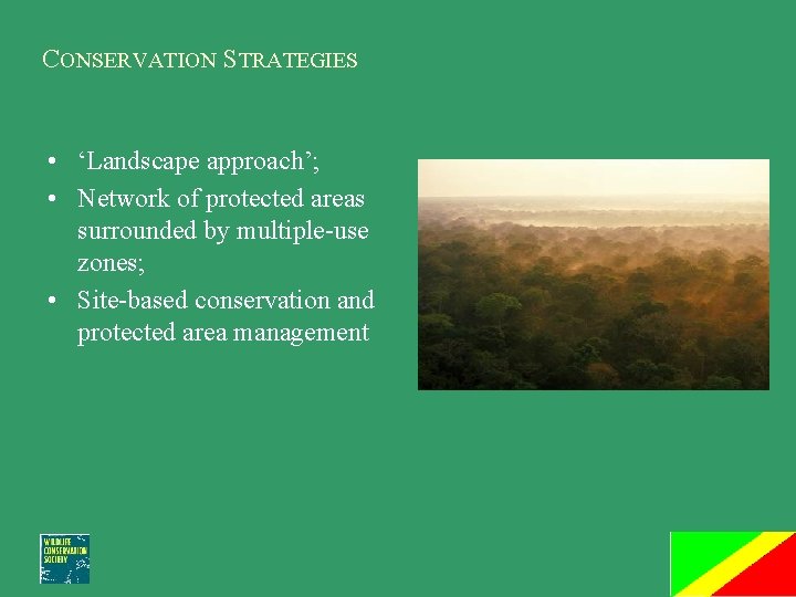 CONSERVATION STRATEGIES • ‘Landscape approach’; • Network of protected areas surrounded by multiple-use zones;