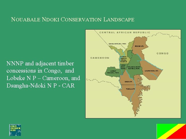 NOUABALE NDOKI CONSERVATION LANDSCAPE NNNP and adjacent timber concessions in Congo, and Lobeke N