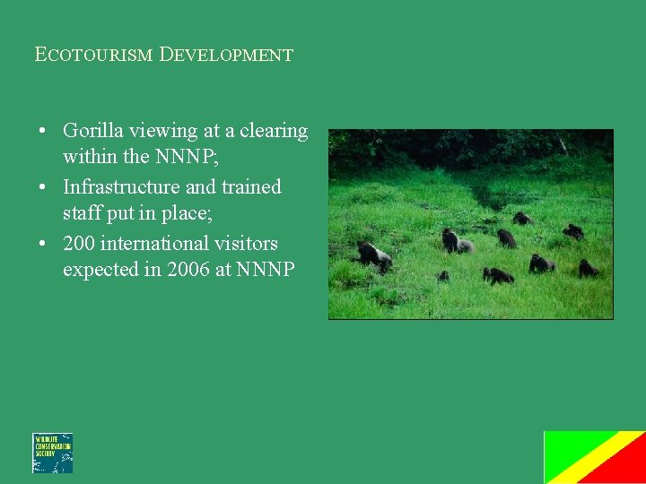 ECOTOURISM DEVELOPMENT • Gorilla viewing at a clearing within the NNNP; • Infrastructure and