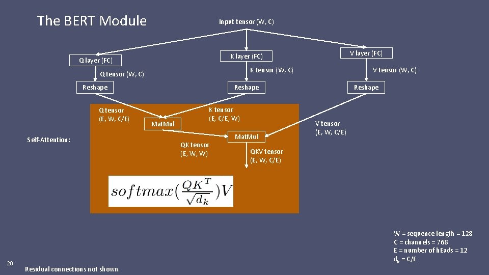 The BERT Module Input tensor (W, C) K tensor (W, C) Q tensor (W,