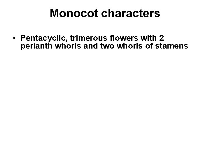 Monocot characters • Pentacyclic, trimerous flowers with 2 perianth whorls and two whorls of