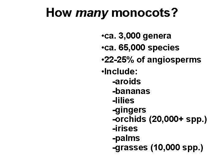 How many monocots? • ca. 3, 000 genera • ca. 65, 000 species •