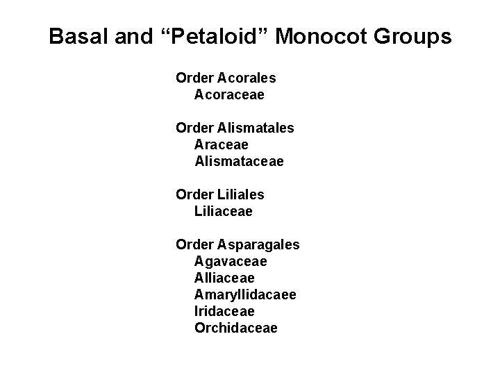 Basal and “Petaloid” Monocot Groups Order Acorales Acoraceae Order Alismatales Araceae Alismataceae Order Liliales