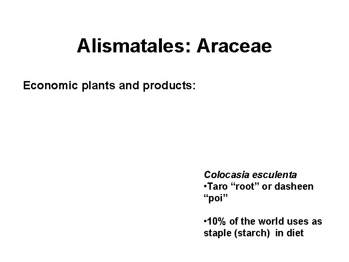 Alismatales: Araceae Economic plants and products: Colocasia esculenta • Taro “root” or dasheen “poi”