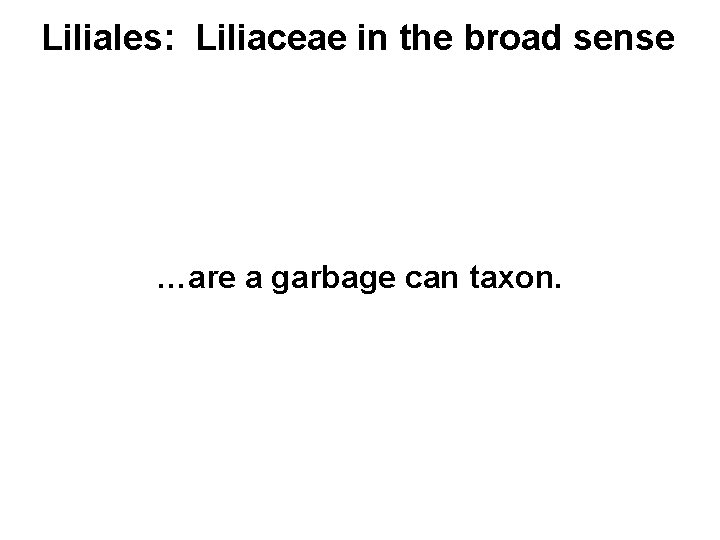Liliales: Liliaceae in the broad sense …are a garbage can taxon. 