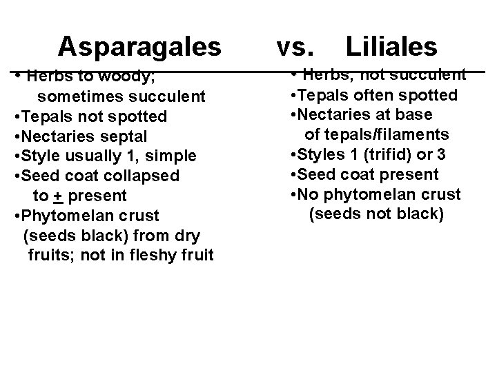 Asparagales • Herbs to woody; sometimes succulent • Tepals not spotted • Nectaries septal