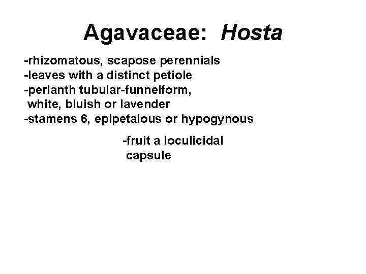 Agavaceae: Hosta -rhizomatous, scapose perennials -leaves with a distinct petiole -perianth tubular-funnelform, white, bluish
