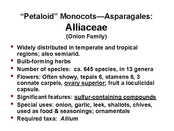 “Petaloid” Monocots—Asparagales: Alliaceae (Onion Family) • • Widely distributed in temperate and tropical regions;