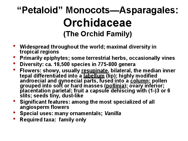 “Petaloid” Monocots—Asparagales: Orchidaceae (The Orchid Family) • • Widespread throughout the world; maximal diversity