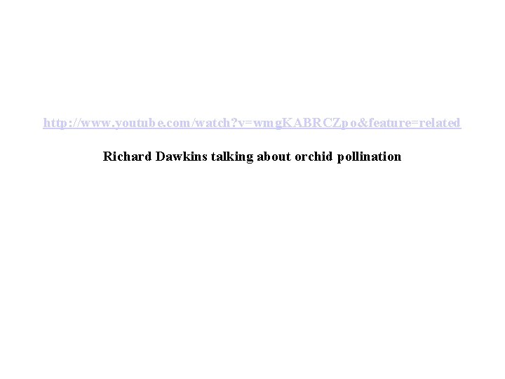 http: //www. youtube. com/watch? v=wmg. KABRCZpo&feature=related Richard Dawkins talking about orchid pollination 