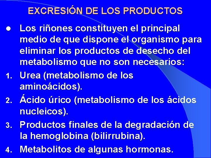 EXCRESIÓN DE LOS PRODUCTOS l 1. 2. 3. 4. Los riñones constituyen el principal