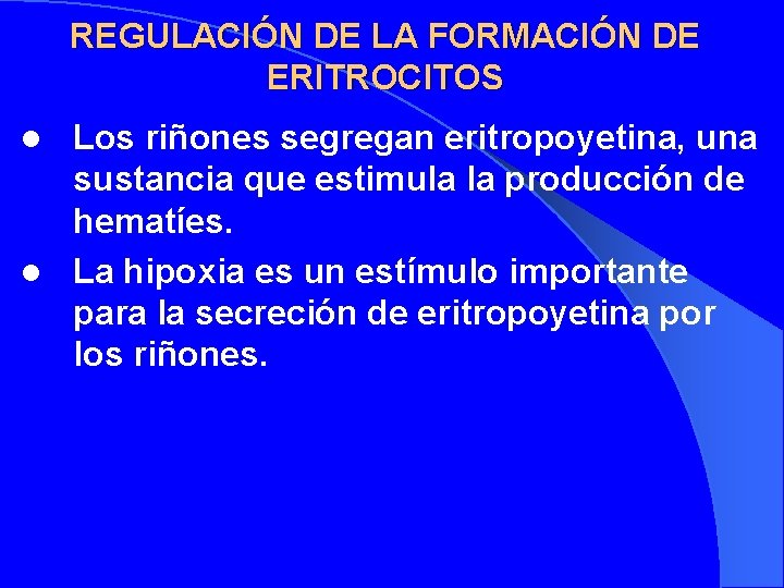 REGULACIÓN DE LA FORMACIÓN DE ERITROCITOS Los riñones segregan eritropoyetina, una sustancia que estimula