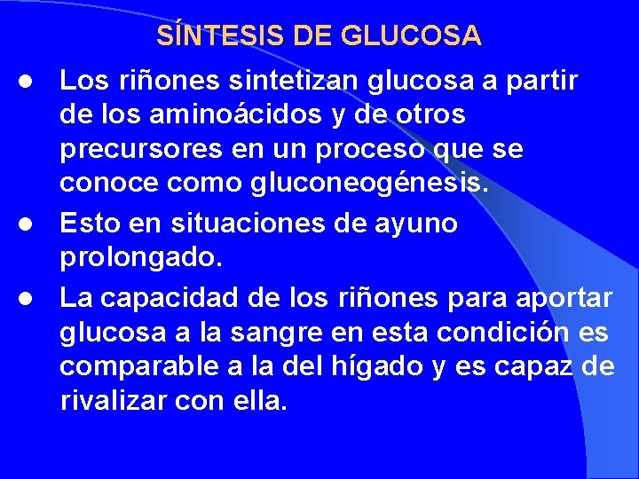 SÍNTESIS DE GLUCOSA Los riñones sintetizan glucosa a partir de los aminoácidos y de
