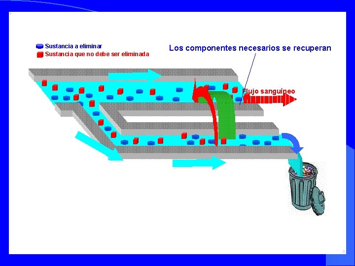 Sustancia a eliminar Sustancia que no debe ser eliminada Los componentes necesarios se recuperan