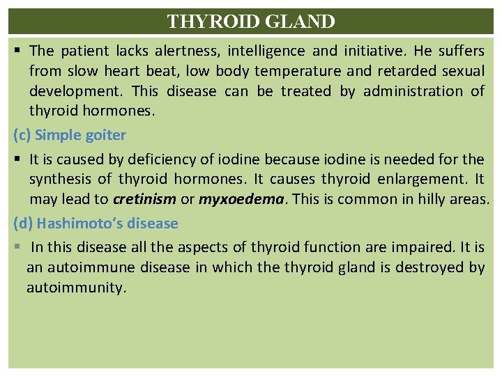 THYROID GLAND § The patient lacks alertness, intelligence and initiative. He suffers from slow