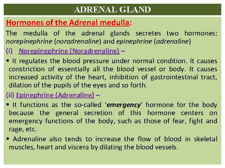 ADRENAL GLAND Hormones of the Adrenal medulla: The medulla of the adrenal glands secretes