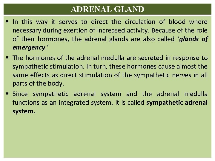 ADRENAL GLAND § In this way it serves to direct the circulation of blood