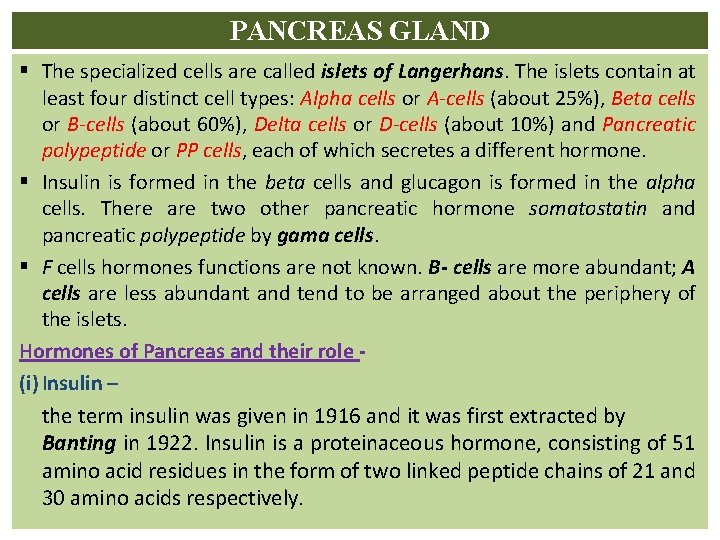 PANCREAS GLAND § The specialized cells are called islets of Langerhans. The islets contain