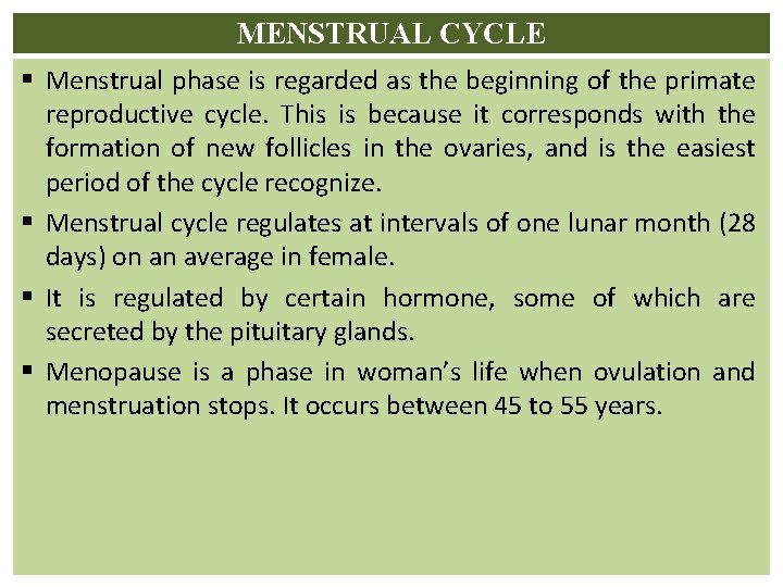 MENSTRUAL CYCLE § Menstrual phase is regarded as the beginning of the primate reproductive