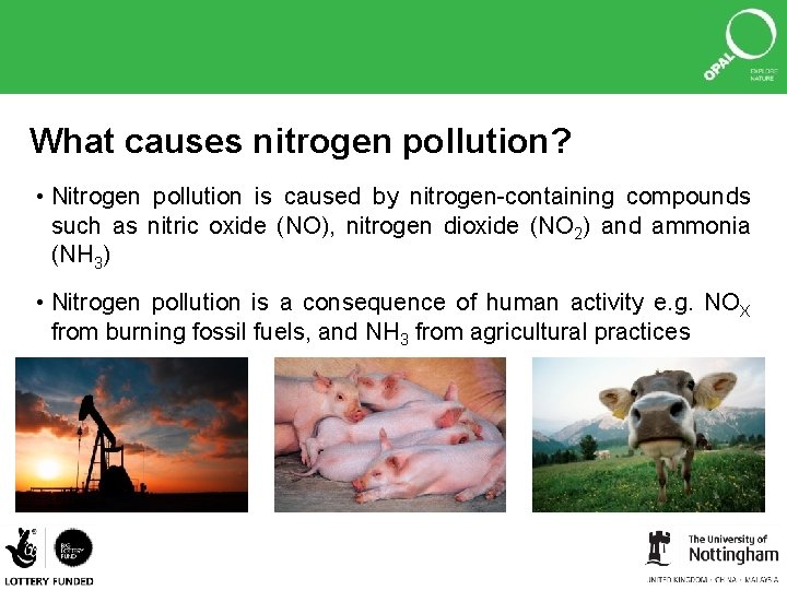 What causes nitrogen pollution? • Nitrogen pollution is caused by nitrogen-containing compounds such as