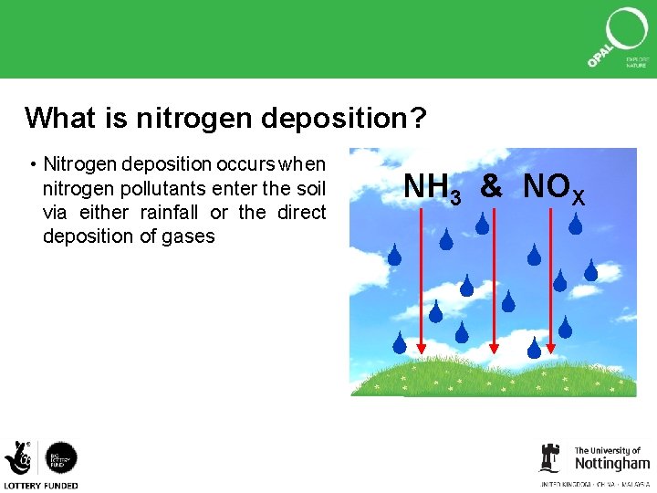 What is nitrogen deposition? • Nitrogen deposition occurs when nitrogen pollutants enter the soil