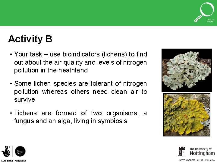 Activity B • Your task – use bioindicators (lichens) to find out about the