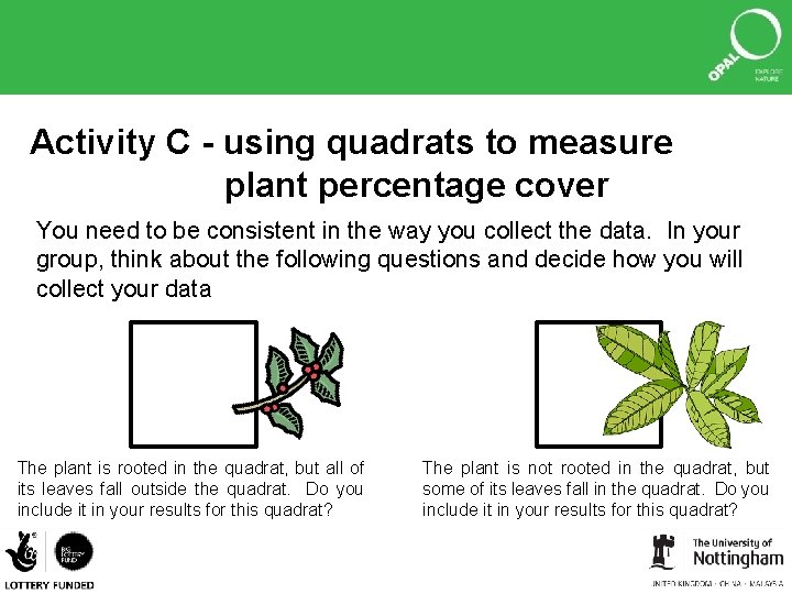 Activity C - using quadrats to measure plant percentage cover You need to be