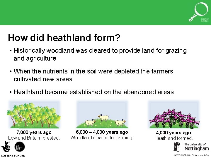 How did heathland form? • Historically woodland was cleared to provide land for grazing