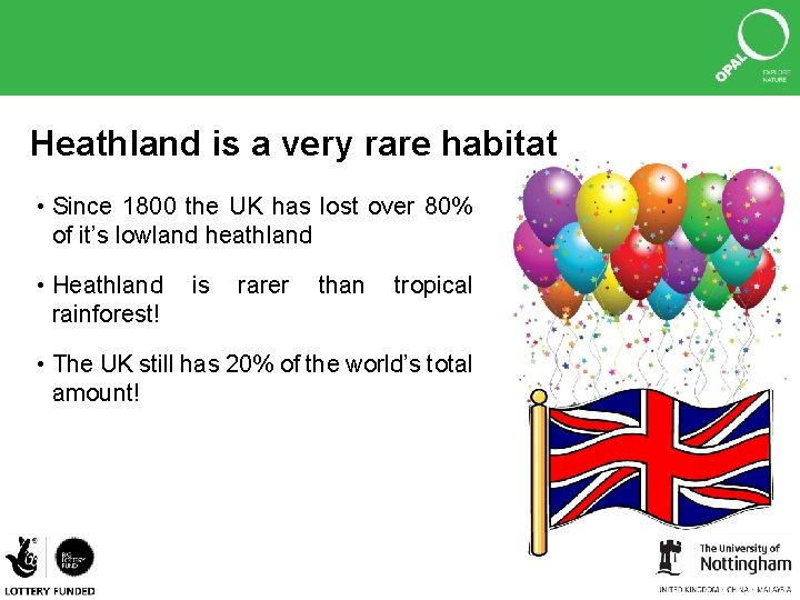 Heathland is a very rare habitat • Since 1800 the UK has lost over