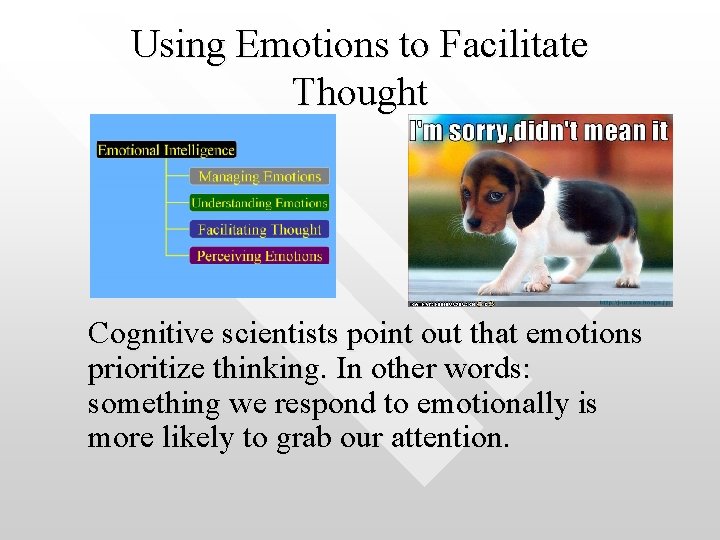 Using Emotions to Facilitate Thought Cognitive scientists point out that emotions prioritize thinking. In