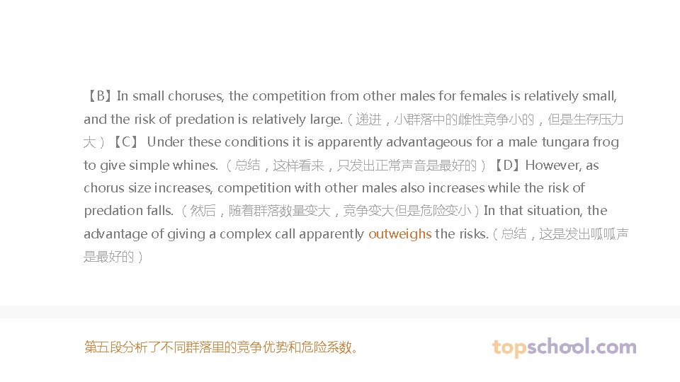 【B】In small choruses, the competition from other males for females is relatively small, and
