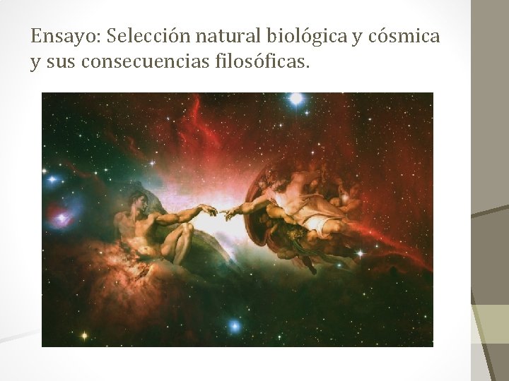 Ensayo: Selección natural biológica y cósmica y sus consecuencias filosóficas. 