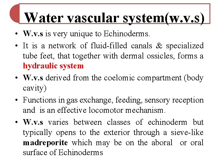 Water vascular system(w. v. s) • W. v. s is very unique to Echinoderms. Water vascular system(w. v. s) • W. v. s is very unique to Echinoderms.