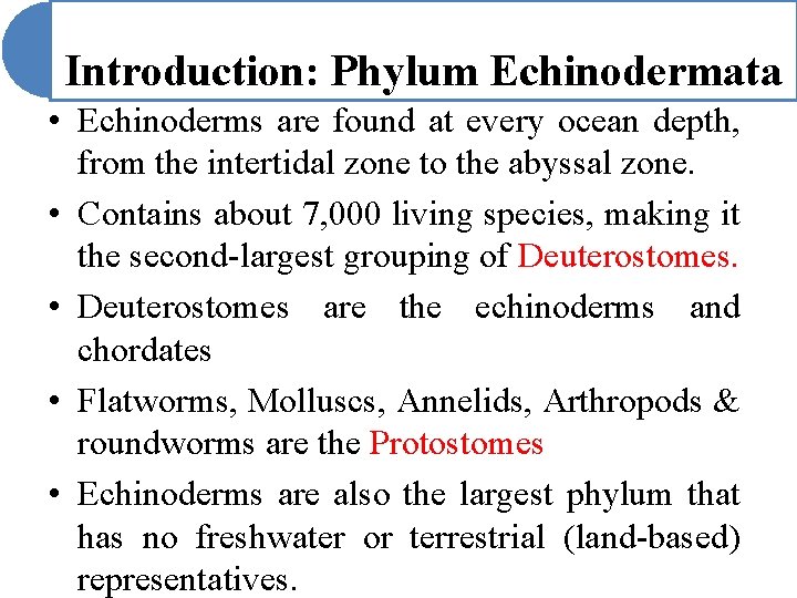 Introduction: Phylum Echinodermata • Echinoderms are found at every ocean depth, from the intertidal Introduction: Phylum Echinodermata • Echinoderms are found at every ocean depth, from the intertidal
