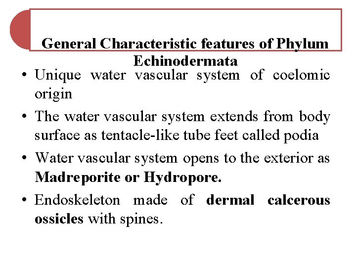 • • General Characteristic features of Phylum Echinodermata Unique water vascular system of • • General Characteristic features of Phylum Echinodermata Unique water vascular system of