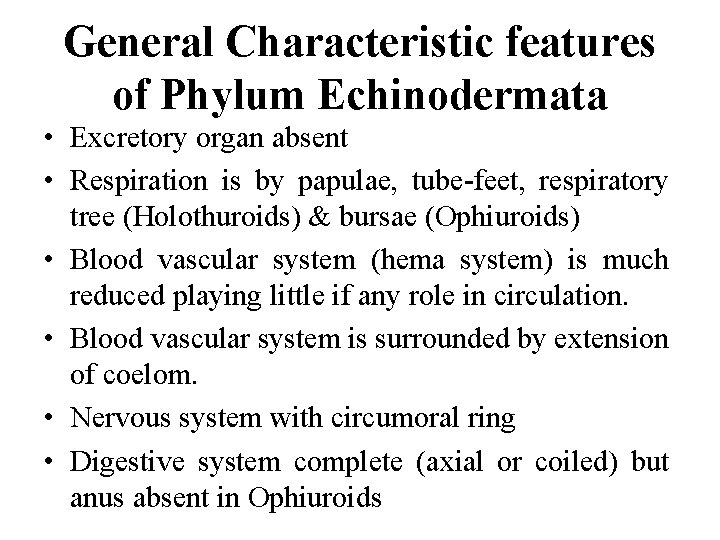 General Characteristic features of Phylum Echinodermata • Excretory organ absent • Respiration is by General Characteristic features of Phylum Echinodermata • Excretory organ absent • Respiration is by