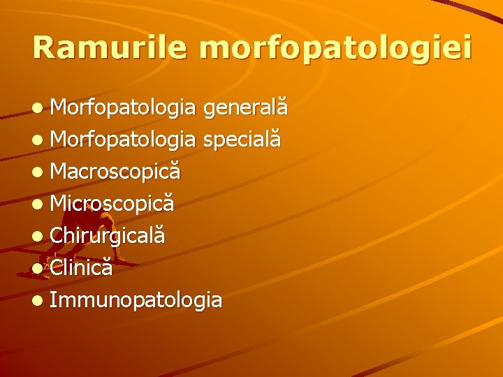 Ramurile morfopatologiei l Morfopatologia generală l Morfopatologia specială l Macroscopică l Microscopică l Chirurgicală