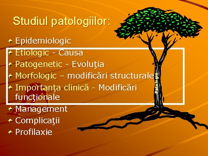 Studiul patologiilor: Patologia Epidemiologic Etiologic - Causa Patogenetic - Evoluţia Morfologic – modificări structurale