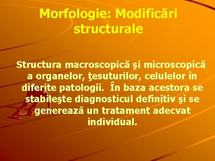 Morfologie: Modificări structurale Structura macroscopică şi microscopică a organelor, ţesuturilor, celulelor în diferite patologii.