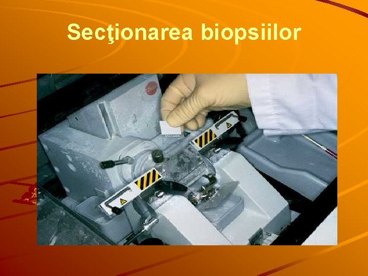 Secţionarea biopsiilor 