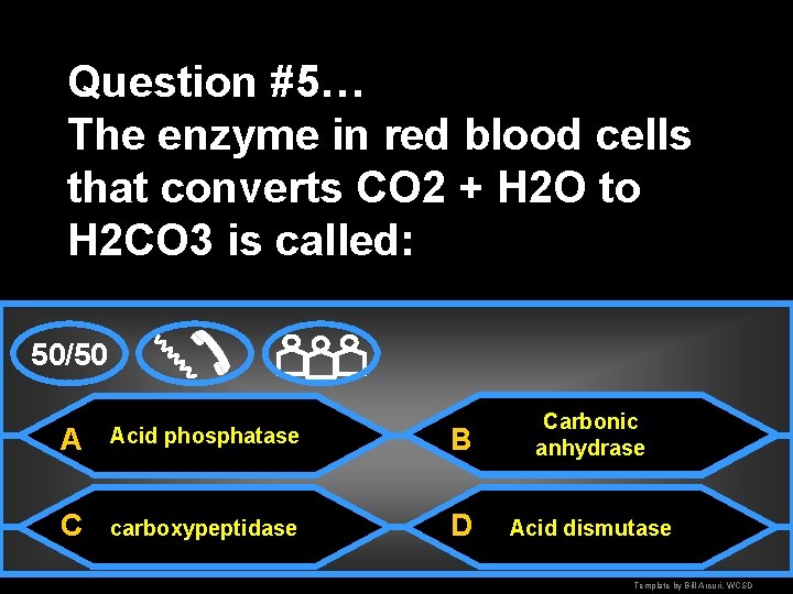 Question #5… The enzyme in red blood cells that converts CO 2 + H