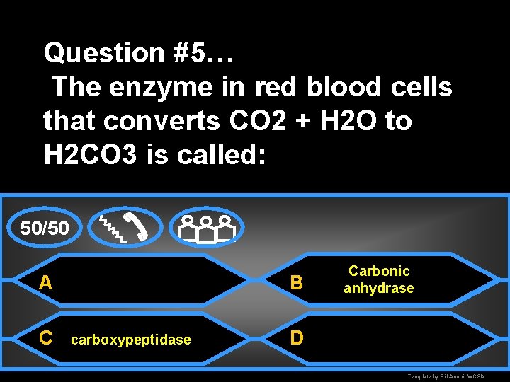 Question #5… The enzyme in red blood cells that converts CO 2 + H