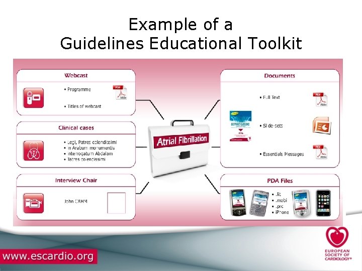 Example of a Guidelines Educational Toolkit 