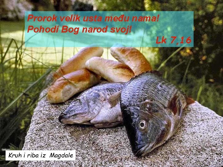 Prorok velik usta među nama! Pohodi Bog narod svoj! Lk 7, 16 Kruh i