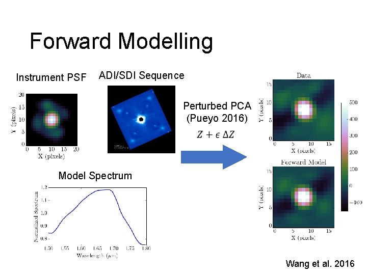 Forward Modelling Instrument PSF ADI/SDI Sequence Perturbed PCA (Pueyo 2016) Model Spectrum Wang et