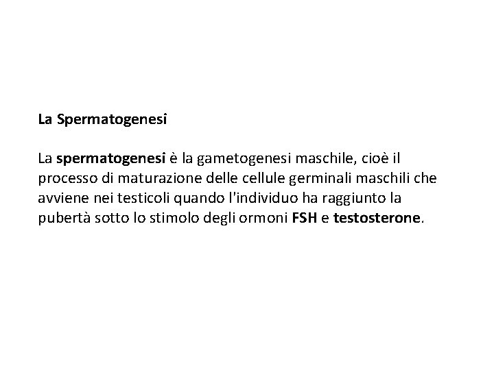 La Spermatogenesi La spermatogenesi è la gametogenesi maschile, cioè il processo di maturazione delle