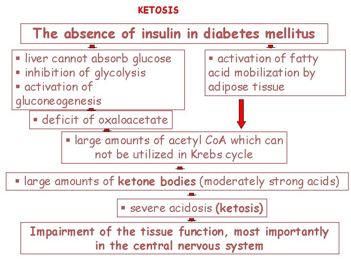 KETOSIS The absence of insulin in diabetes mellitus § liver cannot absorb glucose §
