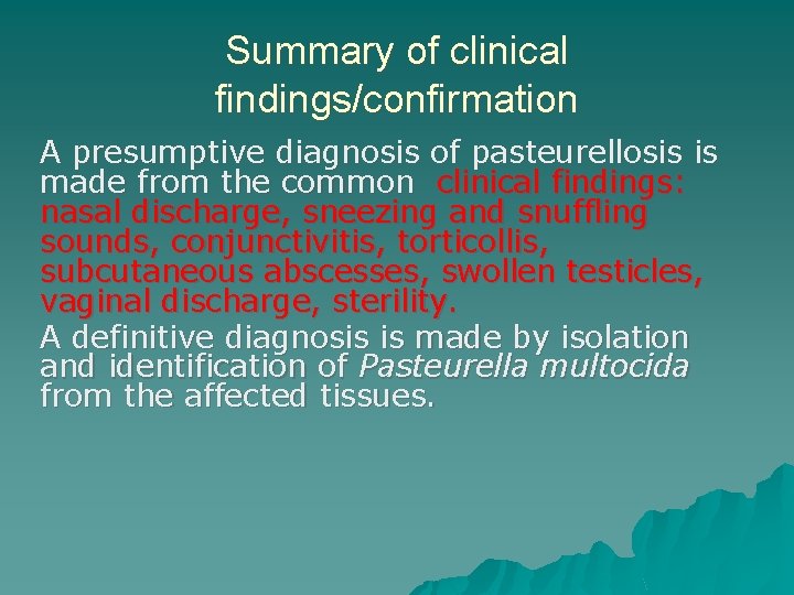 Summary of clinical findings/confirmation A presumptive diagnosis of pasteurellosis is made from the common
