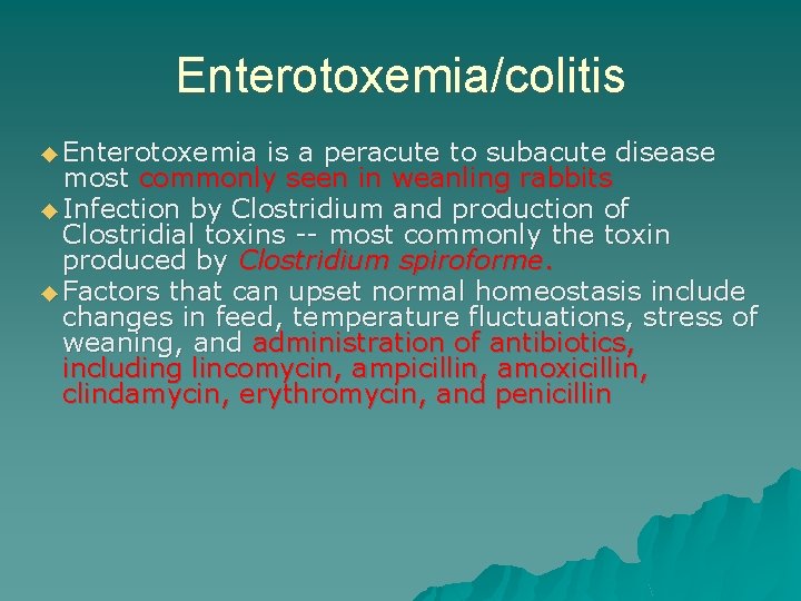Enterotoxemia/colitis ◆ Enterotoxemia is a peracute to subacute disease most commonly seen in weanling