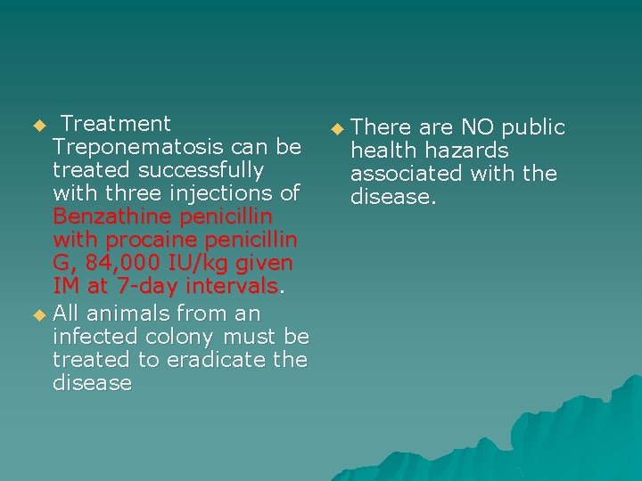 Treatment Treponematosis can be treated successfully with three injections of Benzathine penicillin with procaine
